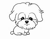 Coloring Maltese Pages Dog Colorear Dibujos Para Sausage Maltipoo Con Perro Color Maltes Dibujo Animales Coloringcrew Perros Animals Pintar Dogs sketch template