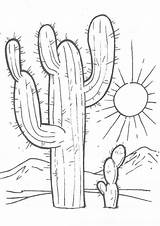Cactus Saguaro Coloring Pages Template sketch template
