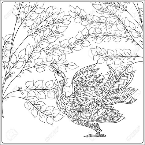 pin  barbara  coloring birds flower decorations bird coloring