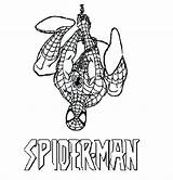 Spiderman Getcolorings sketch template