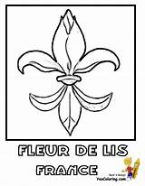 Coloring Flowers France Lily Garden Yescoloring Flower French Pages Kids Book Sheet Print sketch template