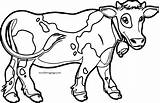 Cow Coloring Links Wecoloringpage sketch template