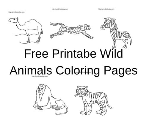 printable wild animals coloring pages