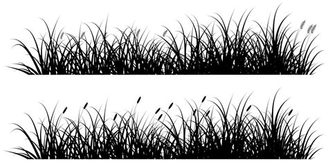vector black reeds grass silhouette  background  banner
