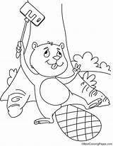 Selfie Coloring Beaver Stick Taking sketch template