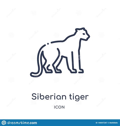 linear siberian tiger icon  animals  wildlife outline collection
