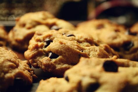 lactation cookie recipe to help breast milk supply