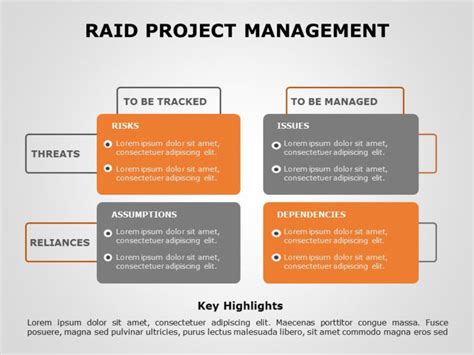 raid stands  risks actions issues  decisions