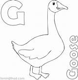 Goose Printables sketch template