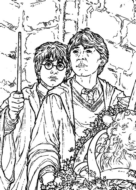 coloring page harry potter   chamber  secrets harry potter