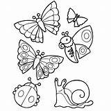 Kids Kinderen Voor Leuk Vlinders Diertjes Een Slak Afkomstig Nl Van sketch template