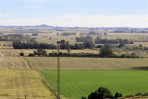 grootste boeren  argentinie bezitten geen land akkerwijzernl nieuws en kennis voor de