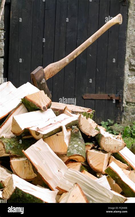 pile  split logs      firewood   axe   splitting  wood