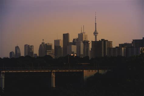 skyline  chester hill lookout rtoronto