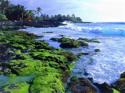 world visits big island  hawaii  family vacation spot