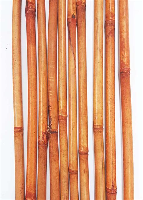 greenfloralcrafts decorative bamboo poles  inches   ft tall set   bamboo sticks