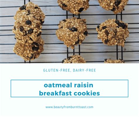Gluten Free Dairy Free Oatmeal Raisin Breakfast Cookies