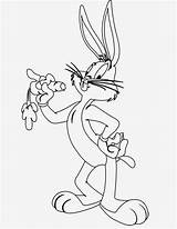 Bunny Bugs Coloring Pages Printable Tunes Looney Filminspector sketch template
