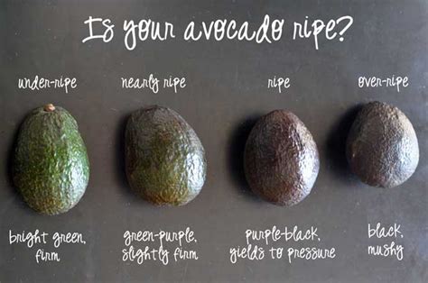 How To Tell If Your Avocado Is Ripe Host The Toast