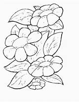 Flowers Coloring Pages Flower5 sketch template