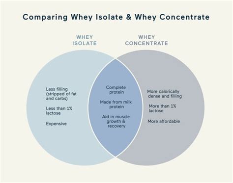 whey protein isolate  concentrate   choose mindbodygreen
