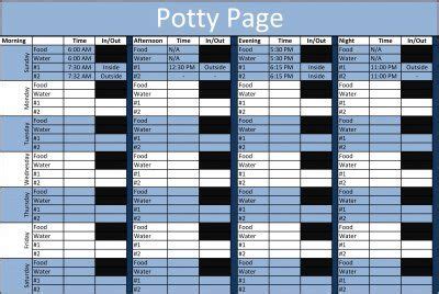 dog potty training schedule chart interesting facts  prairie dogs