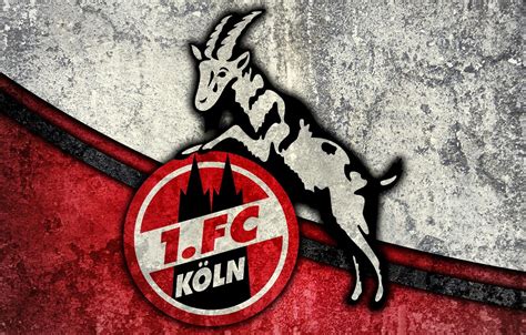 logo  fc koeln wallpaper gif