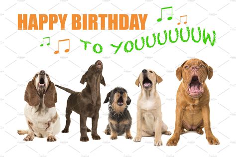 dogs singing happy birthday high quality animal stock  creative market