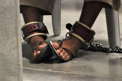 most americans believe terror torture justified newshub