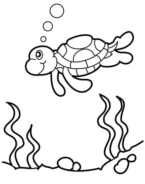 cute baby turtle coloring pages bestappsforkidscom