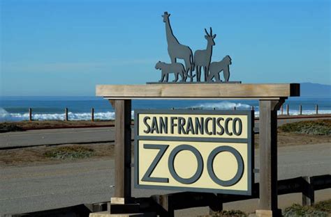 san francisco zoo gardens san francisco ca california beaches