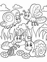 Coloring Pages Insect Insects Bug Summer Bugs Choose Board sketch template