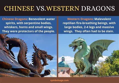 chinese dragons     important symbol sage