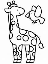 Girafe Maternelle Giraf Kleurplaat Eenvoudige Coloriages Kleurplaten Leukekleurplaten Ausmalbild Enfants Hoofd Buzz2000 Bébé Meilleur Album Kleur Besteausmalbilder Leuke één Colouring sketch template