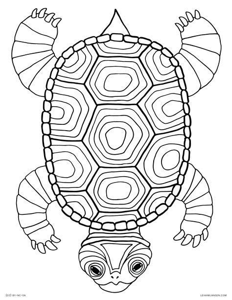 turtle shell drawing  getdrawings