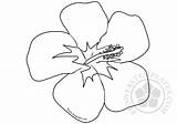 Hibiscus Flowerstemplates sketch template