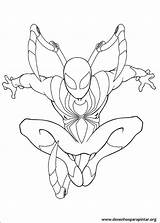 Homem Aranha Colorir Ferro Desenhos Punho Tigresa às sketch template