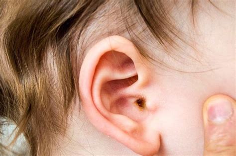 penyakit  telinga homecare
