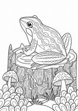 Frogs Toads Delightful Decorative sketch template