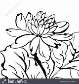 Chinese Traditional Painting Flower Drawing Clipartmag Preview sketch template
