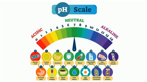 Ph Scale In Simple Terms Youtube