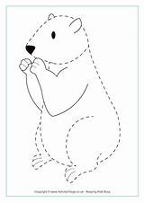 Tracing Groundhog Pages Animal Activities Pencil Trace Kids Preschool Hog Activityvillage Children Colour Activity Practice Control Worksheets Colouring Printables Ground sketch template