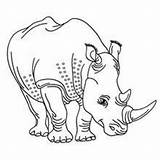 Rhinoceros Nashorn Rinoceronte Ausmalen Hellokids Fofo Rhino Sabana Malen Jirafa Fofos Elefantes sketch template