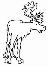 Caribou Coloring Coloriage Pages Color Drawings Clipart Animals Drawing Animal Clipartmag sketch template