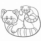Panda Red Coloring Cute Color Pages Getcolorings Printable Getdrawings sketch template