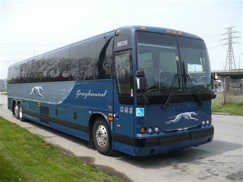 pics  greyhound bus pics