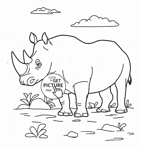 rhino coloring page  getcoloringscom  printable colorings