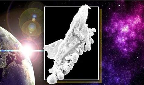 proof aliens exist scientists  staggering discovery find evidence