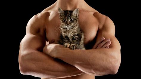 Hot Guys With Cats — Two Obsessions In One – Sheknows