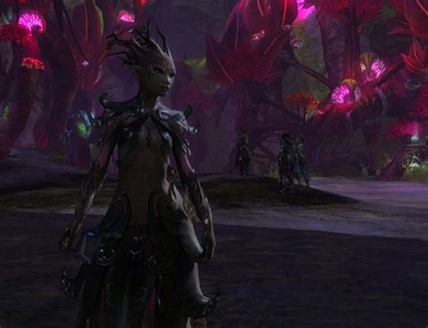 New World Notes Guild Wars 2 S Sylvari Race Is A Pleasant Twist On The